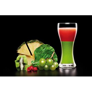 Dahlert DT SJ-19 Slow Juicer dunkelgrau