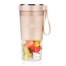 Akku Smoothie Mixer to-go Grossag